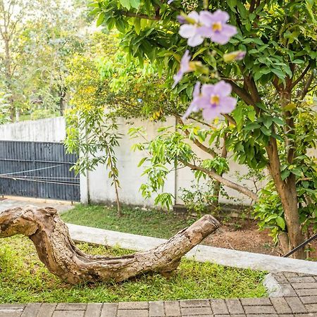 Battaramulla Boutique Villa Sri Jayewardenepura Kotte Buitenkant foto